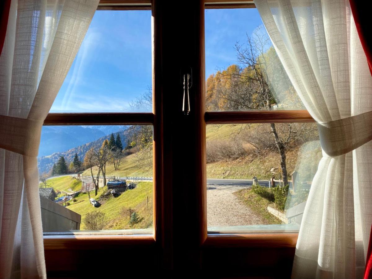 Monolocale In Alpino 022143-at-010681 Apartment *