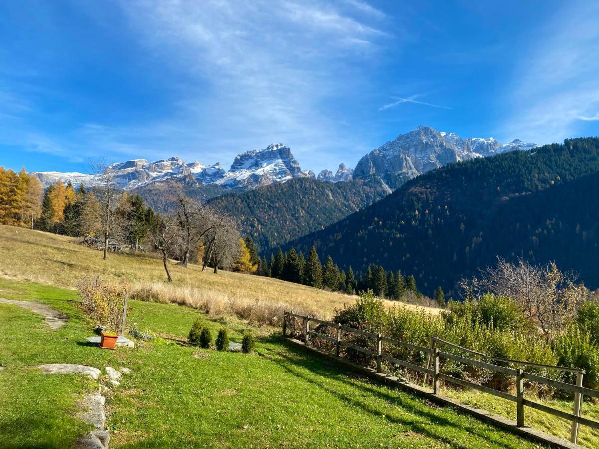 Monolocale In Alpino 022143-at-010681 Madonna