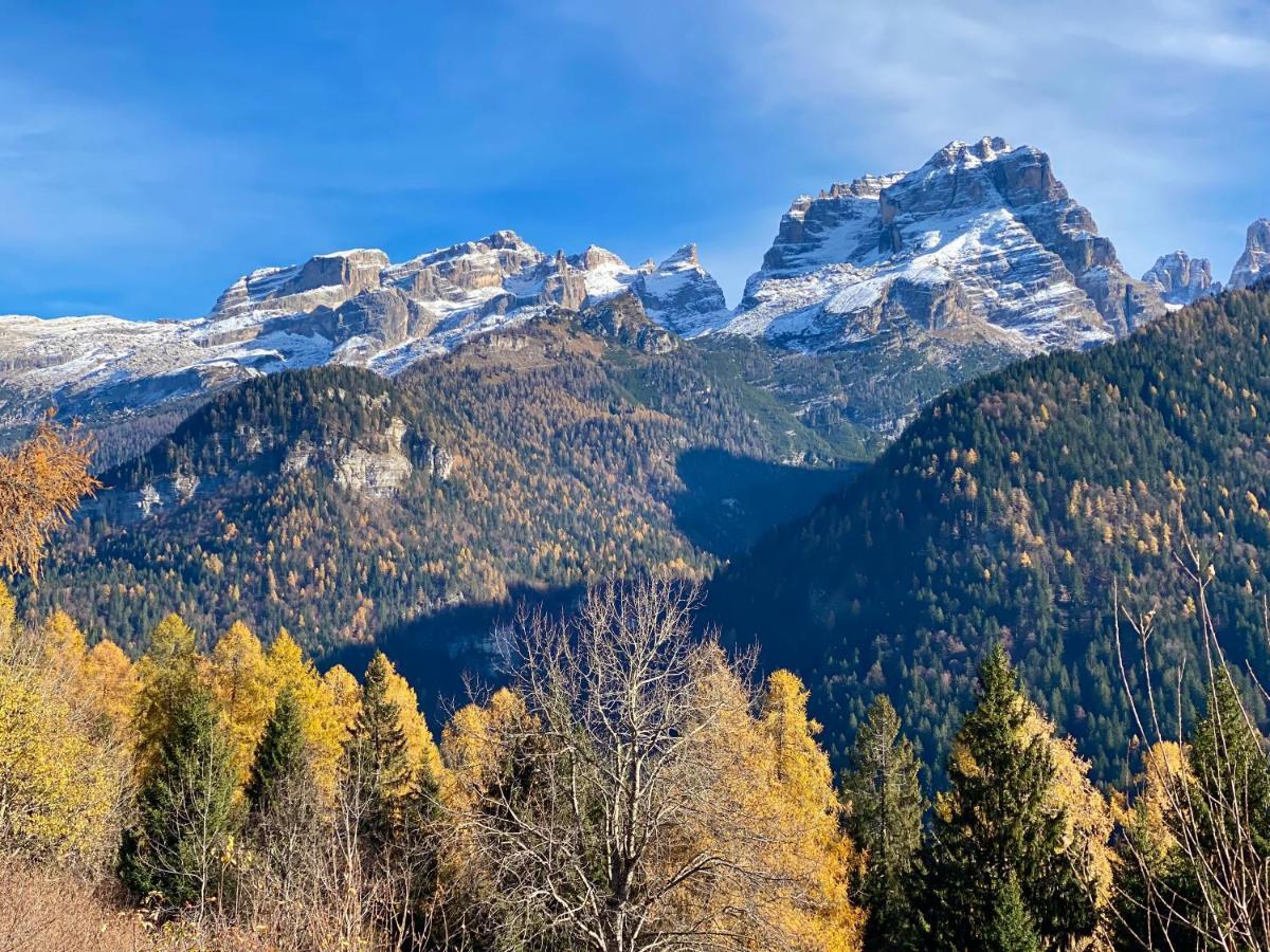 Monolocale In Alpino 022143-at-010681