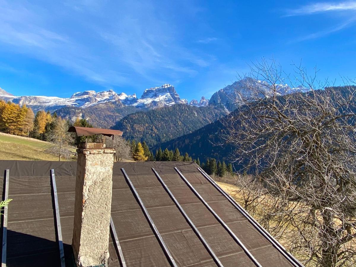 Monolocale In Alpino 022143-at-010681 Apartment Madonna di Campiglio
